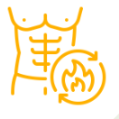 metabolism